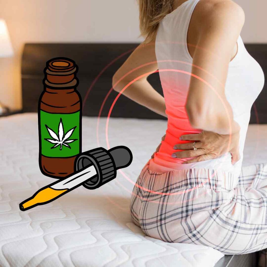 Cannabis Medicinal - CBD e Fibromialgia